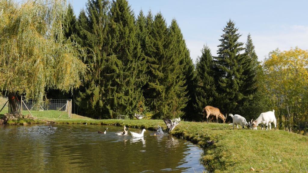 Hotel Restaurant Domaine De Basil Orbey Zewnętrze zdjęcie